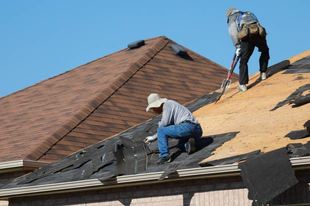 Roof Moss and Algae Removal in Oviedo, FL